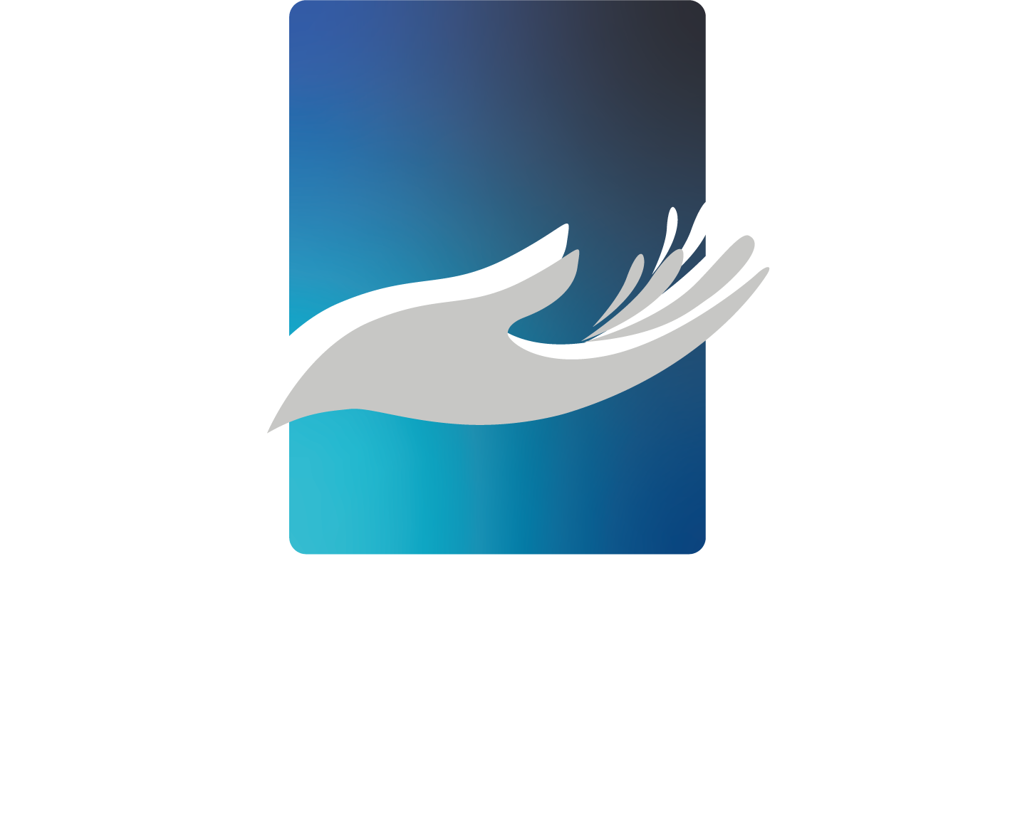 BDS Finance